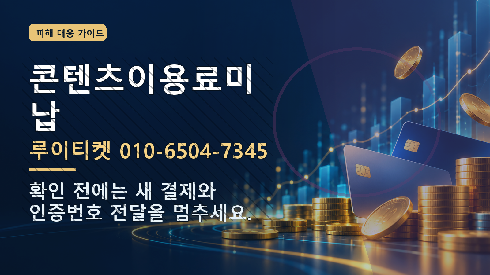 콘텐츠이용료미납: 루이티켓 010-6504-7345 · 확인 전에는 새 결제와 인증번호 전달을 멈추세요.